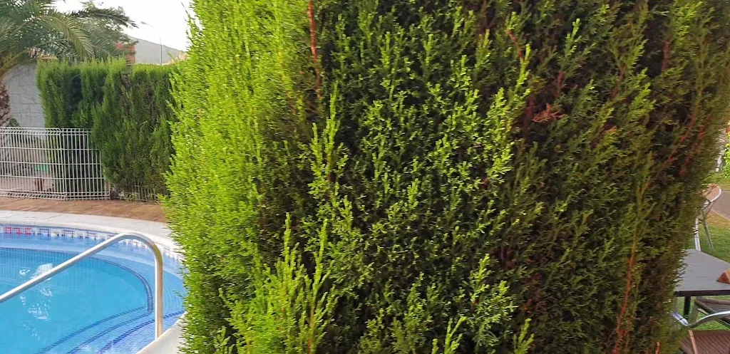 Hotel Restaurante Cuatro Caminos_Piedrabuena_slider_image_2