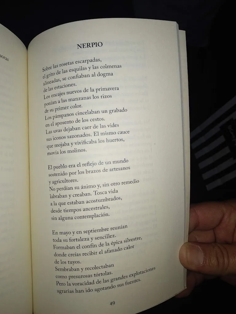 Menu_Cafetería - Cervecería Plaza_Nerpio_image_1