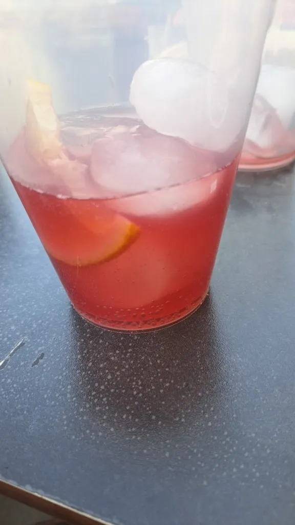 javier blanco_BAR PLAZA_Torralba de Calatrava_review