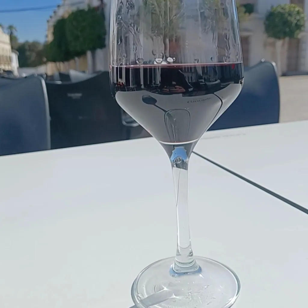 Johnny Gmail_Gastrobar Doñana_Villamanrique_review