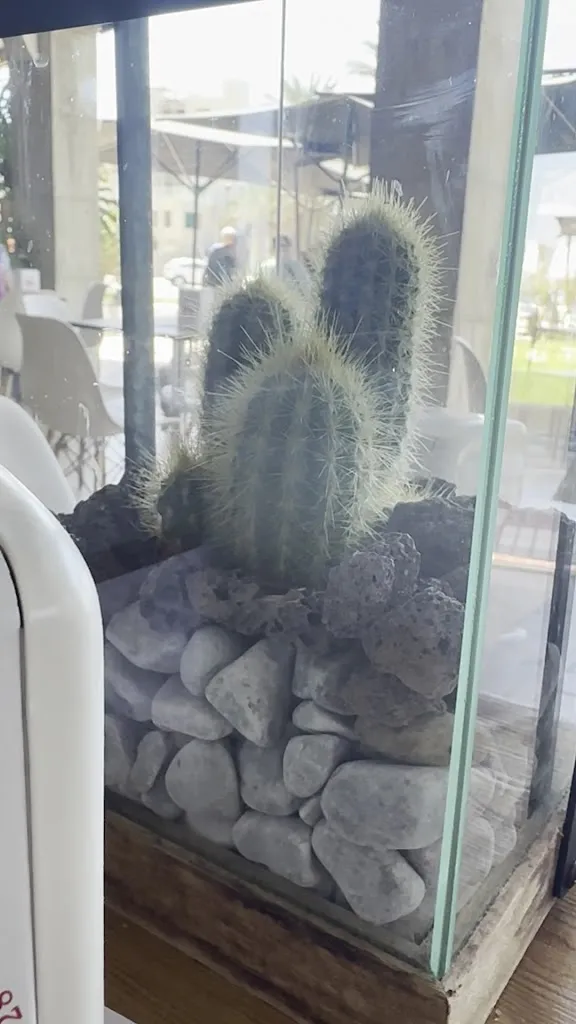 Pub Restaurante Tertulia Beach_Torrenueva_slider_image_2