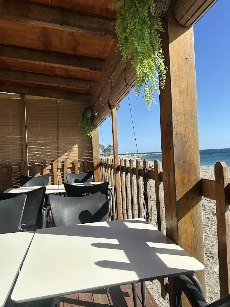 Nuevo Carrizo II restaurant in Torrenueva