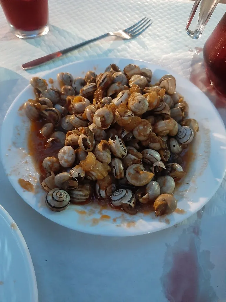 Aniceto Davia javega_Parque de Pozo Lorente_Pozo-Lorente_review