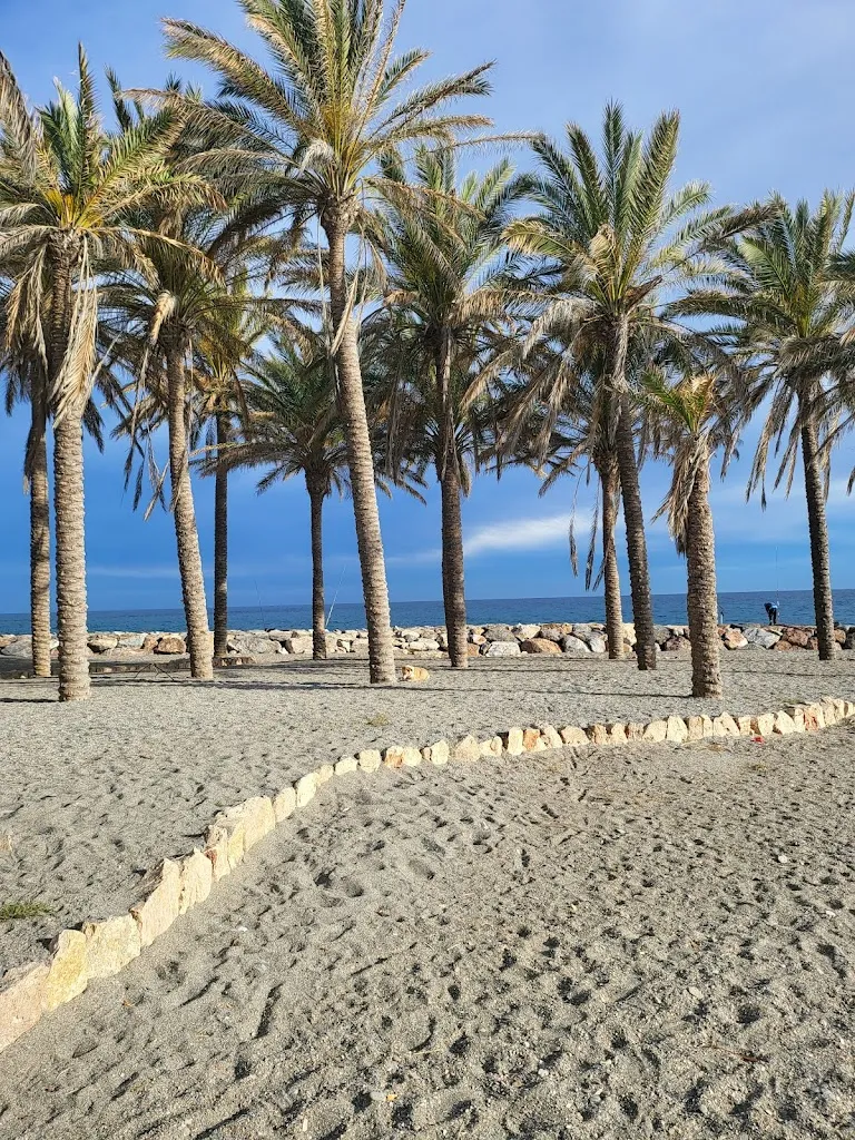 Rainer Thormann_Pollos Asados La Torre_Torrenueva_review