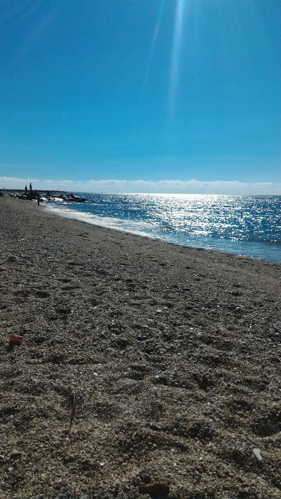 Restaurante D' Pescados_Torrenueva_slider_image_2