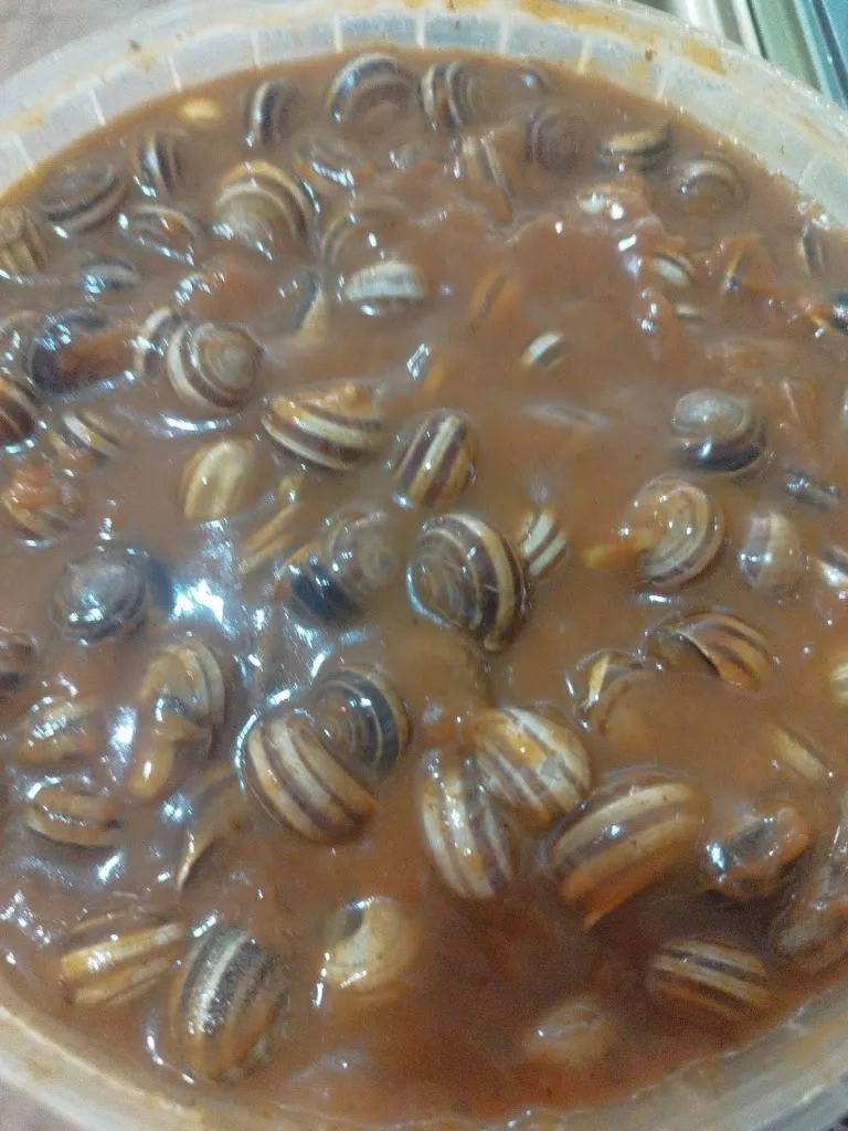 Menu_Asador El Rincón_Tomelloso_image_2