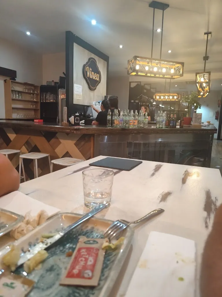 Art. M_VINEA_Tomelloso_review