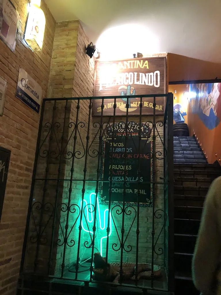 HELECHO AISLADO_Restaurante México Lindo_Tomelloso_review