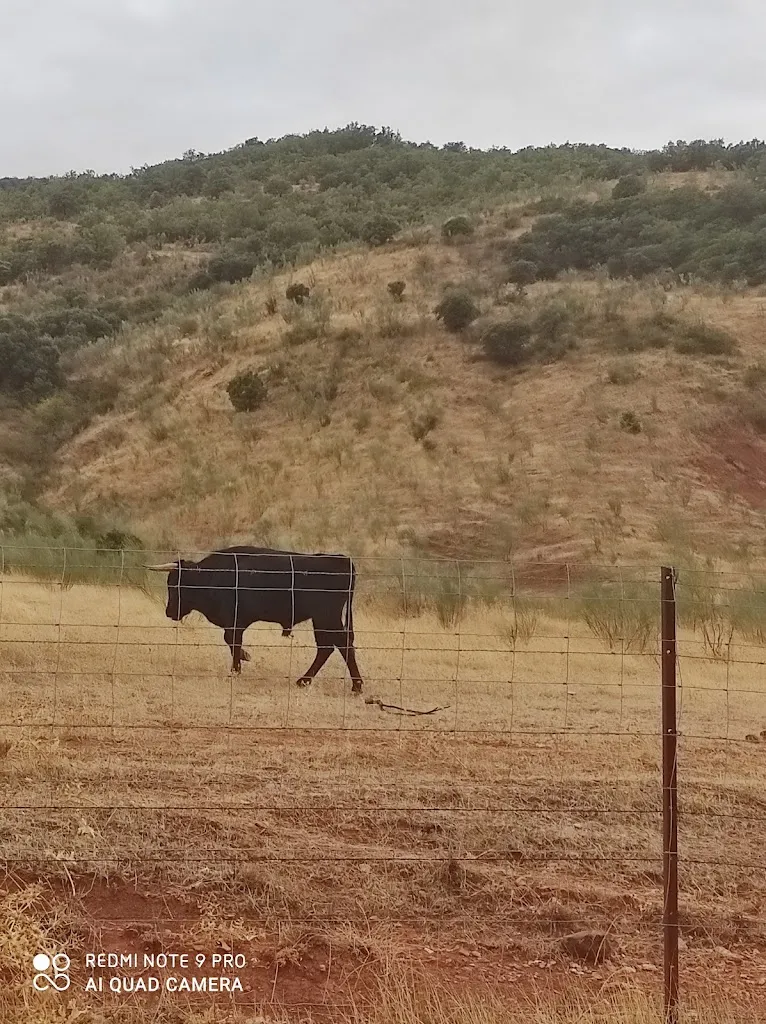 R.K Travel Advisor_Posada el Montañés_Villanueva de la Fuente_review