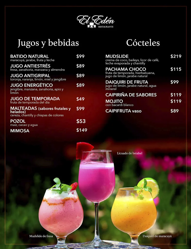 Menu_Restaurante El Edén_Villahermosa_image_1