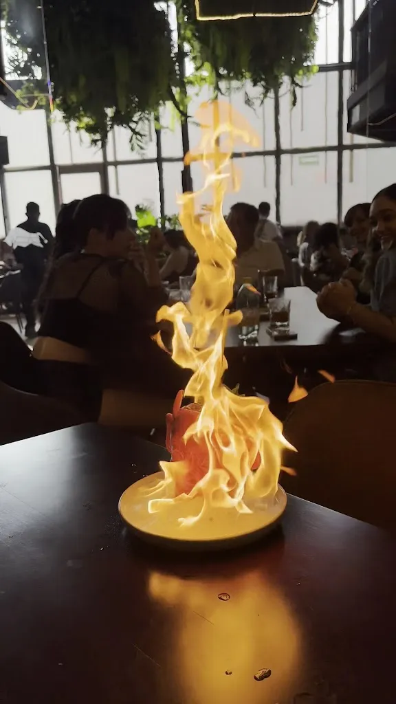 Madison Grill Villahermosa_Villahermosa_slider_image_2