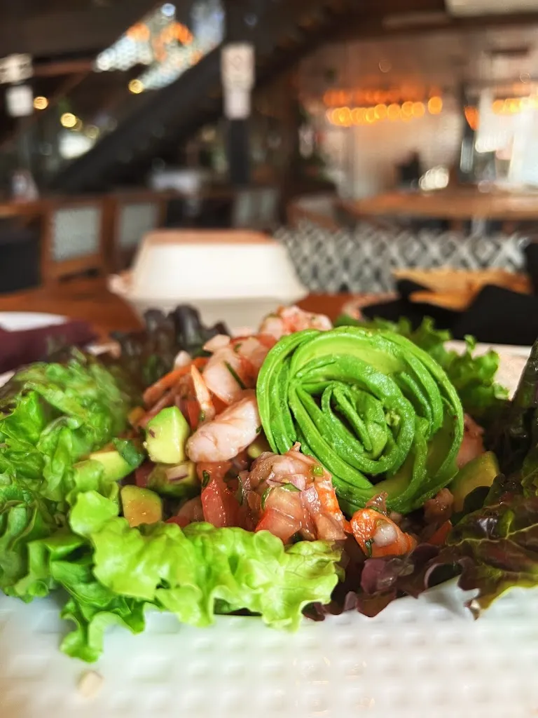 Sanel Selimovic_Toro Bravo Restaurant_Villahermosa_recensione