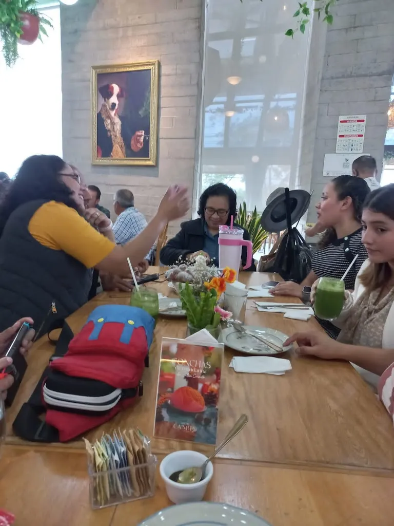 Alvaro Garcia_Salón Caimito_Villahermosa_Bewertung