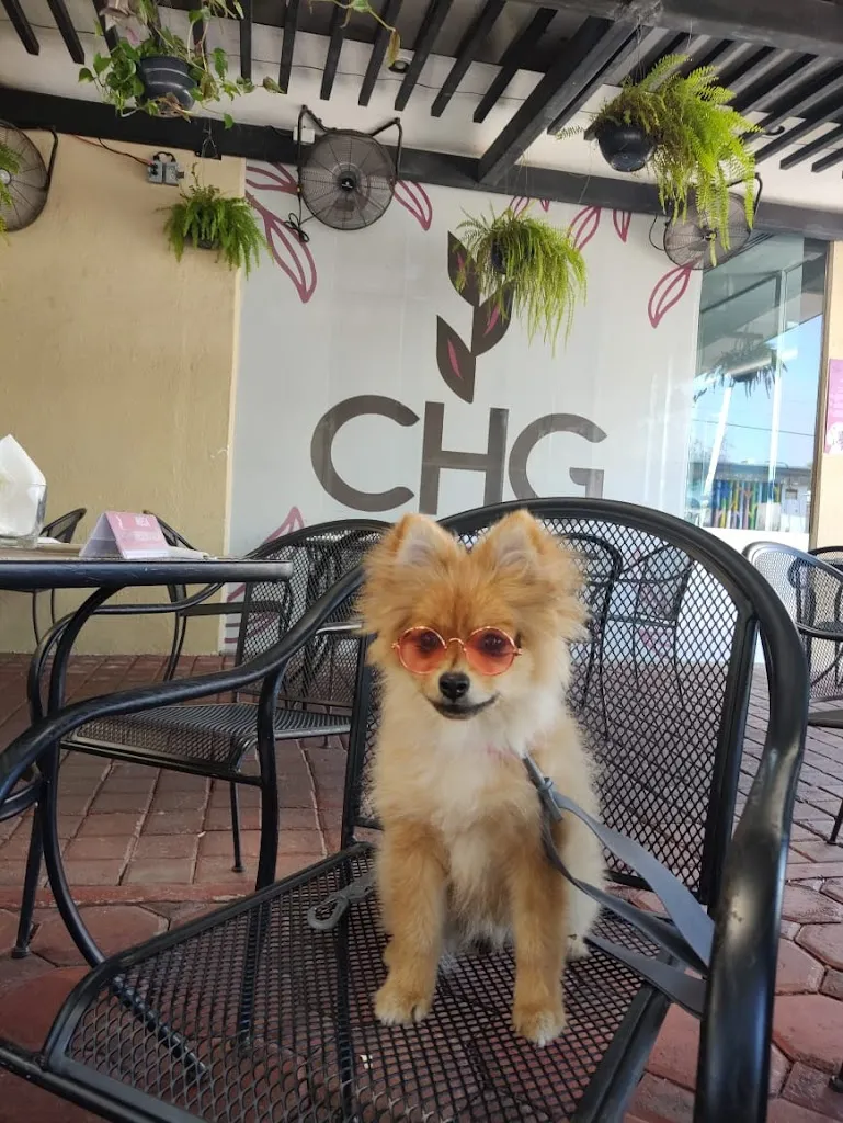 Fernanda Chavez_Restaurante La Choquita Gourmet_Villahermosa_review