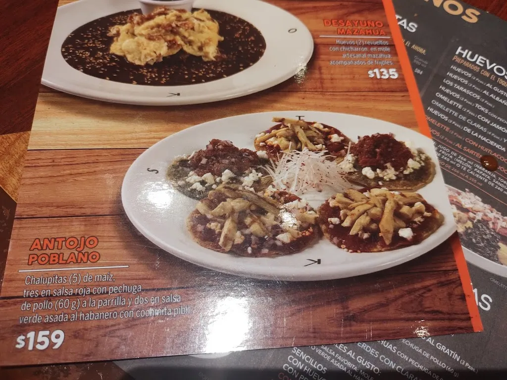 Menu_Toks Villahermosa_Villahermosa_image_4