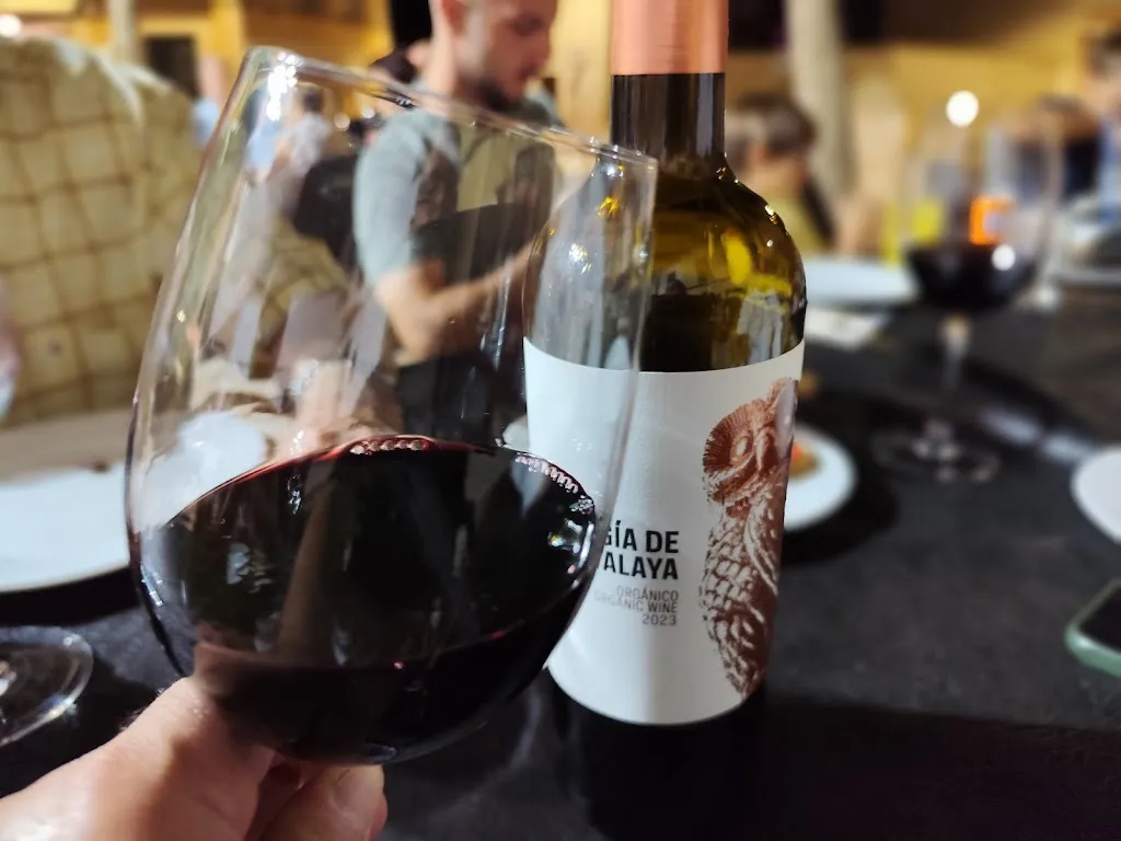 Pedro Selas Hernández_Cervecería Pinky_Viso del Marqués_review