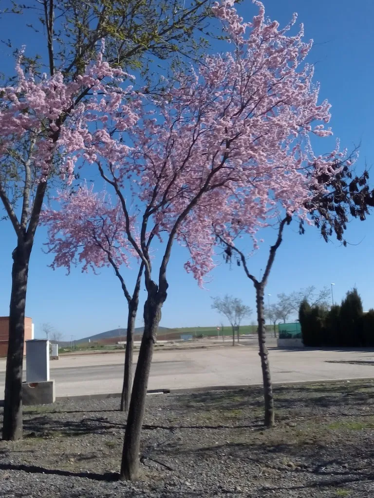 Restaurante La Almazara Del Marqués_Viso del Marqués_slider_image_1
