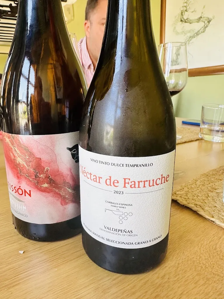 Ana Maria Nitoiu_Restaurante Venta del Comendador_Valdepeñas_review