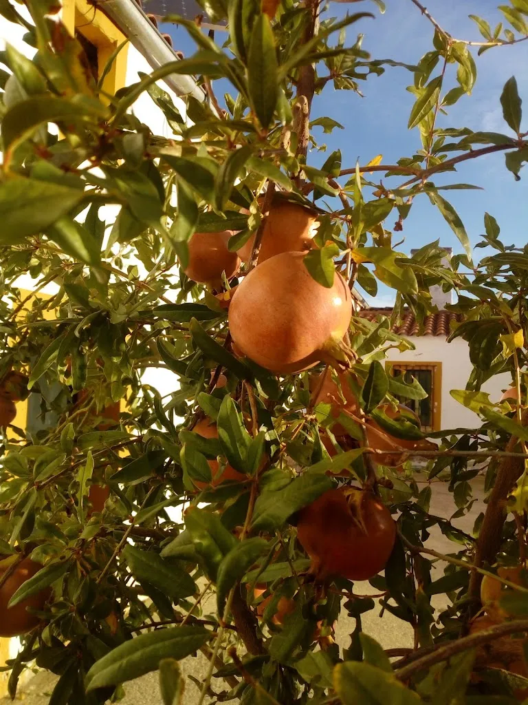 Bar Fémolix_Blázquez Los_slider_image_2