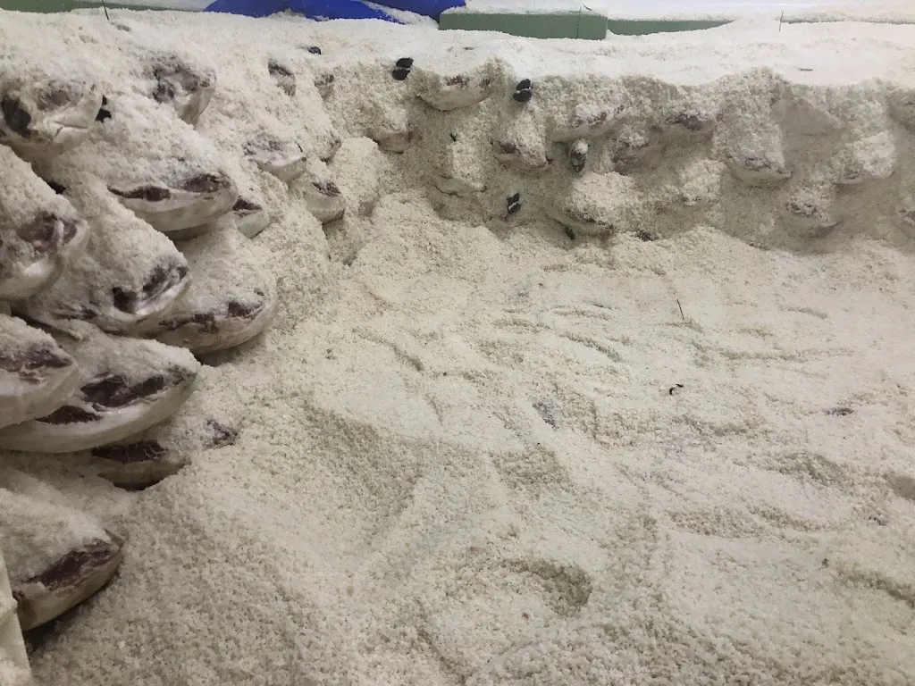 WG万国_Encinares del Sur_Bélmez_recensione