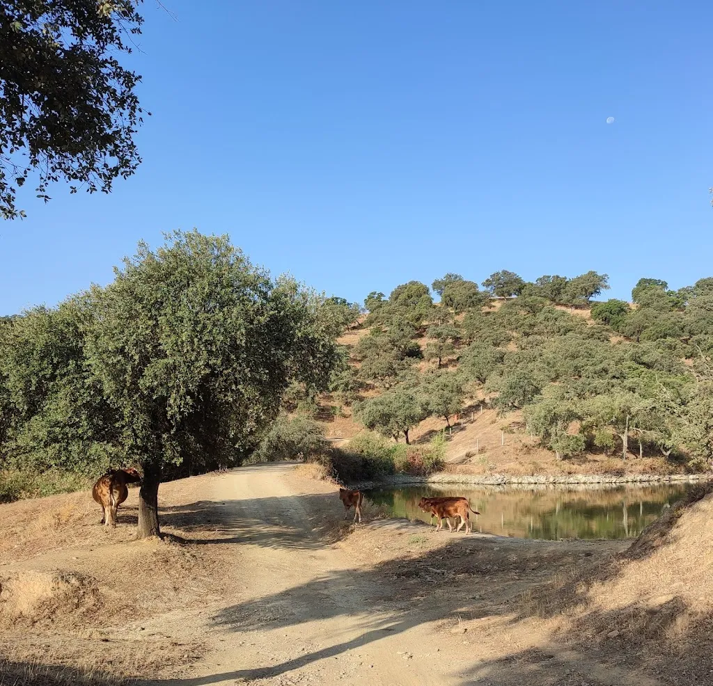 Jose Manuel_Finca las Zarzas_Almodóvar del Río_recensione