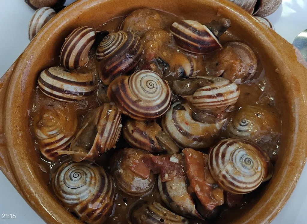 Francisco Mendez Romero_El surtidor_Bujalance_review