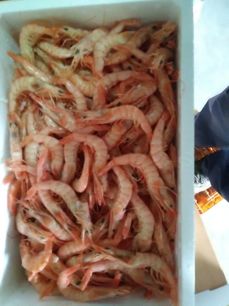 Menu_Caracoles rubi_Cañete de las Torres_image_4