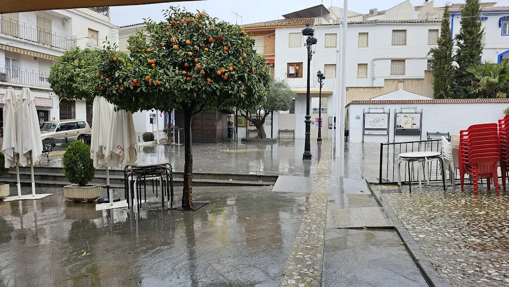 Bar Casa Adelina_Carcabuey_slider_image_3