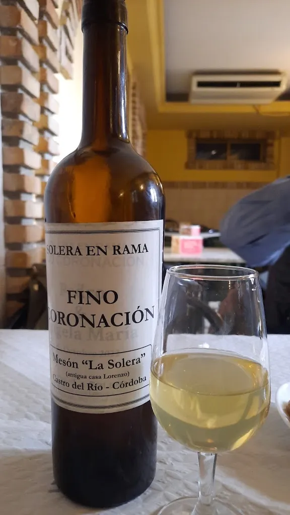 Máximo Decimo Meridio_Mesón Cafetería La Solera_Castro del Río_review