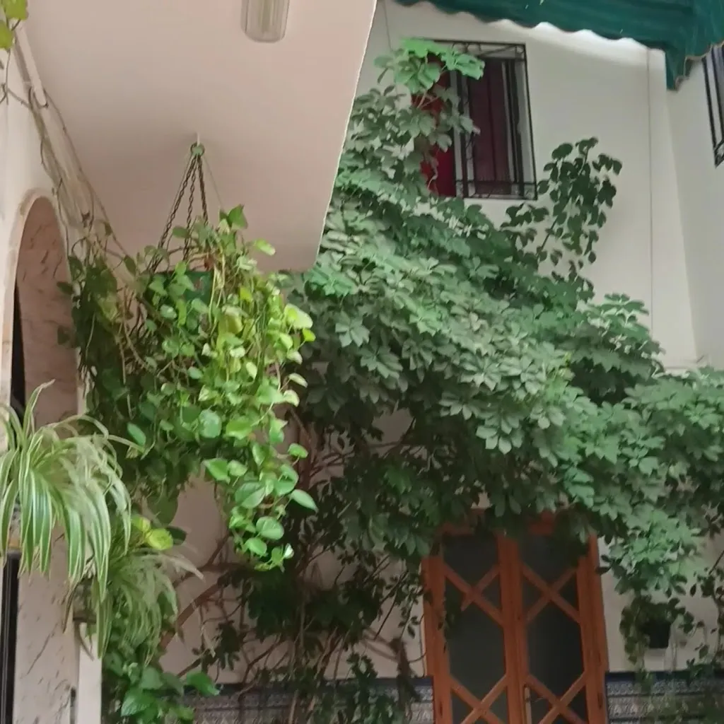 Casa Morejón S.L. restaurant in Doña Mencía