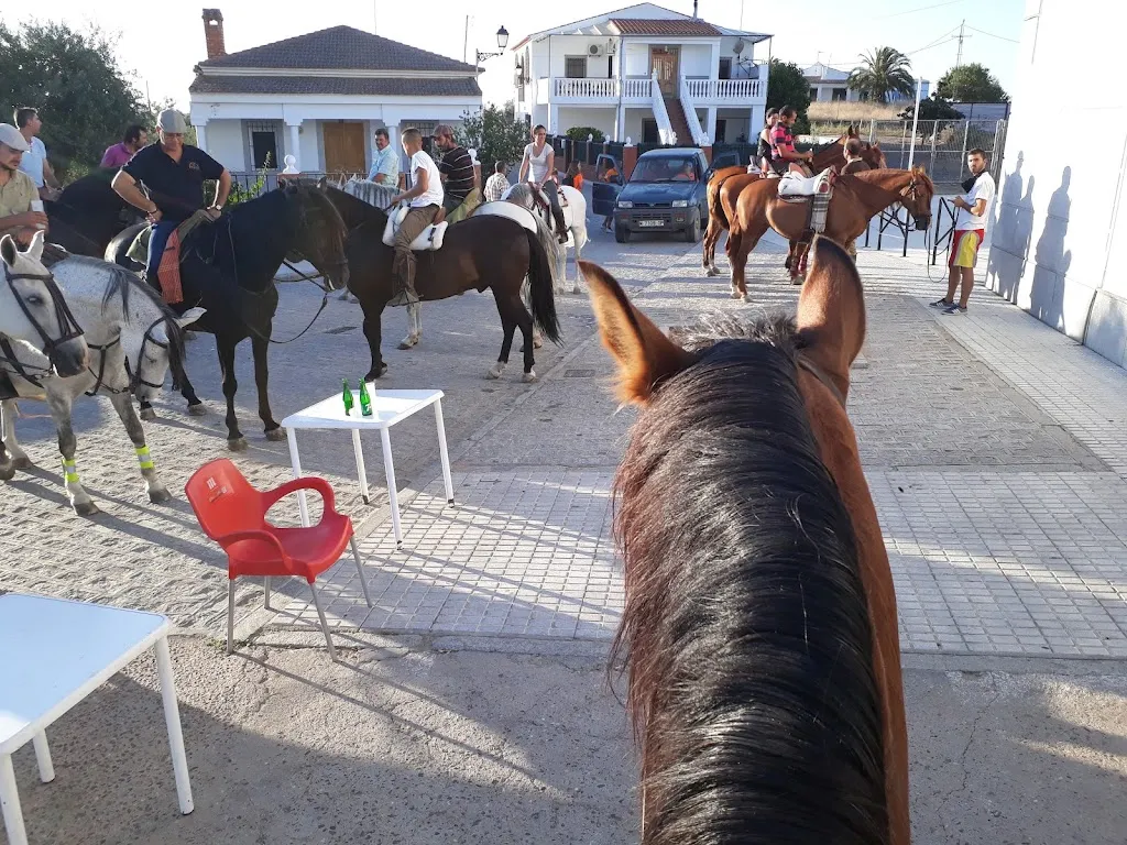 Jose Bullero y Cias._Cafe Bar Pensi_Fuente la Lancha_review