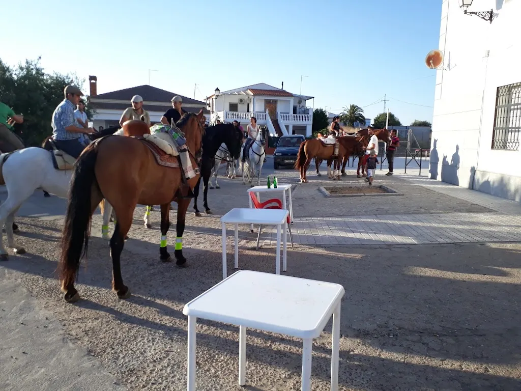 Cafe Bar Pensi_Fuente la Lancha_slider_image_1