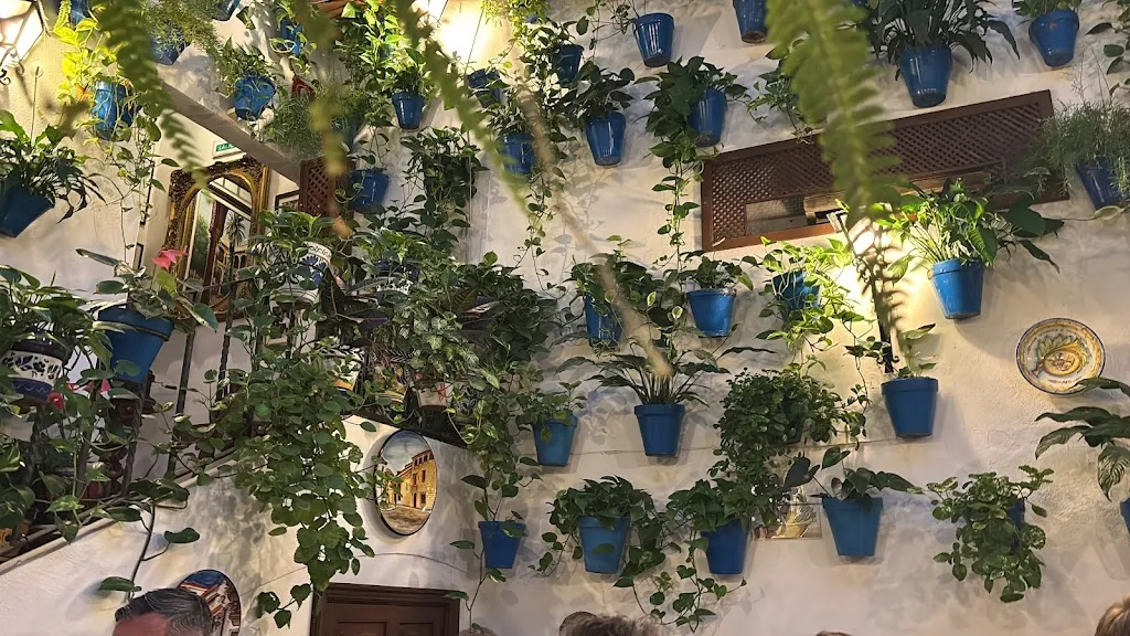 Alfredo Trovato_Restaurante Puerta Sevilla_Córdoba_review