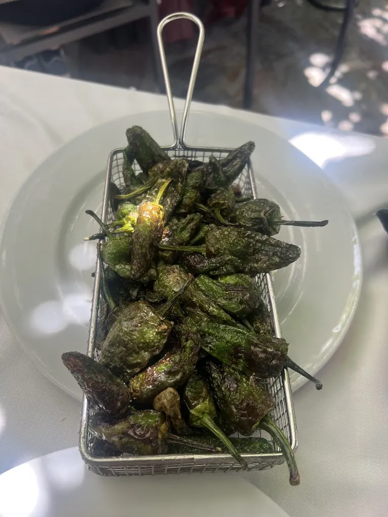 Zubin_Restaurante Viva Galicia_Guijo El_review