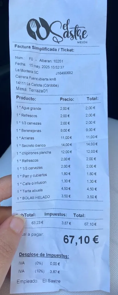 I V_Meson el Sastre_Fuente Palmera_review