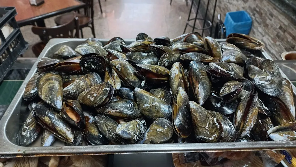 El Novo Escalón_Montemayor_slider_image_3