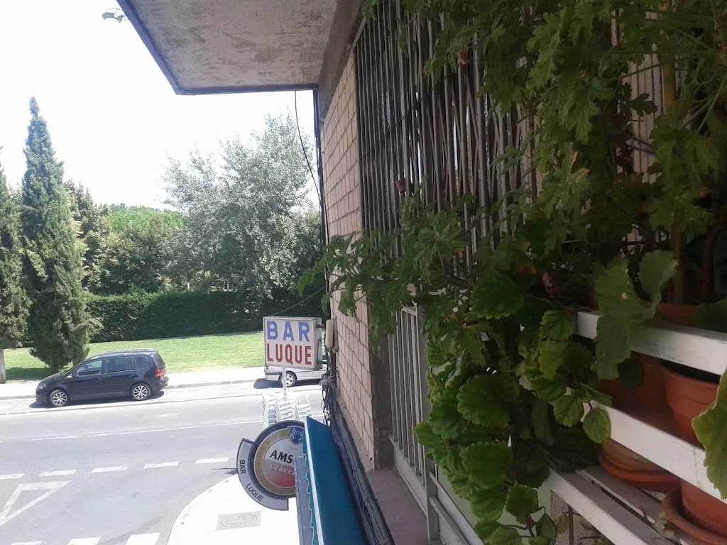 Karen K Díaz_Bar Luque_Luque_review