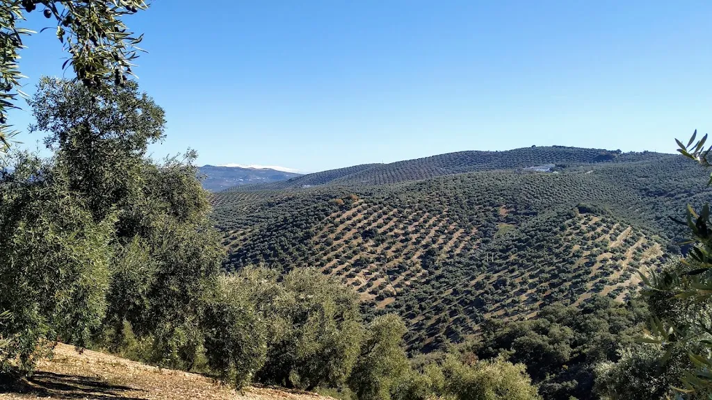 Bar los caminos restaurant in Iznájar