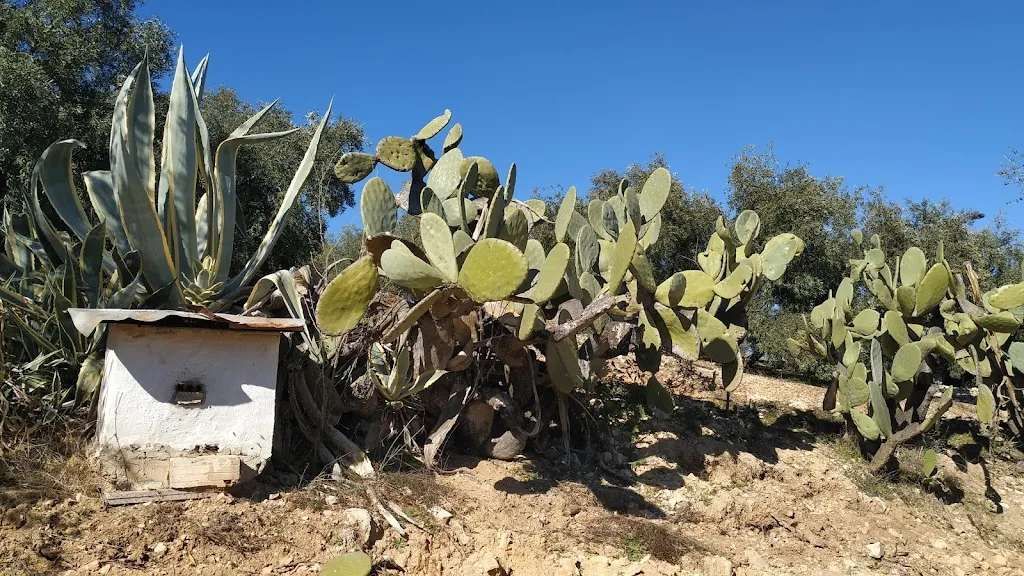 Bar los caminos_Iznájar_slider_image_2