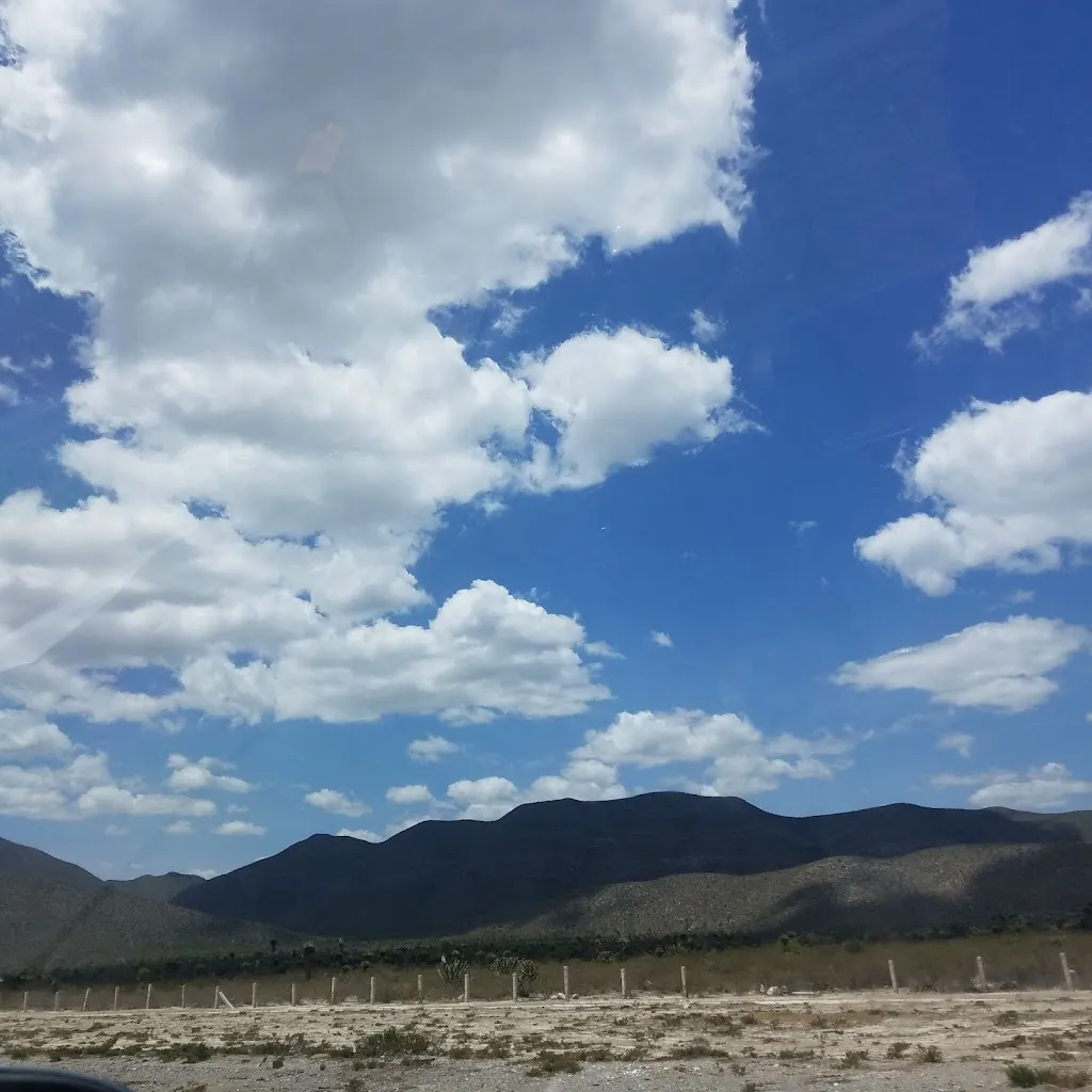 Restaurant Lirio_Guadalcázar_slider_image_2