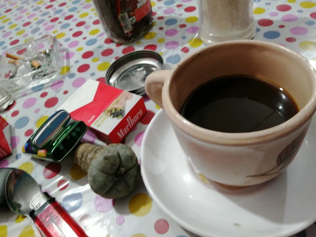 Café Karina restaurant in Guadalcázar