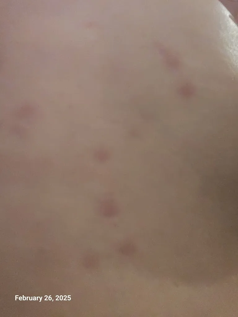 Lesa Helmy_Posada del León de Oro_Posadas_recensione