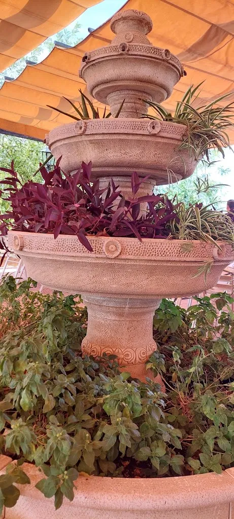 VALERIE DE VUYST_Asador-Venta La Madroña_Montoro_review