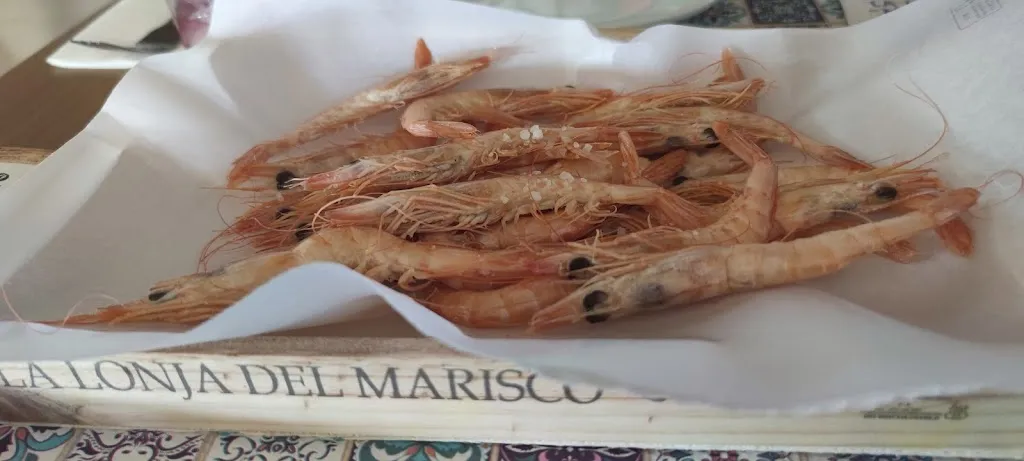 David Alvarez_La Lonja del Marisco_Montilla_review