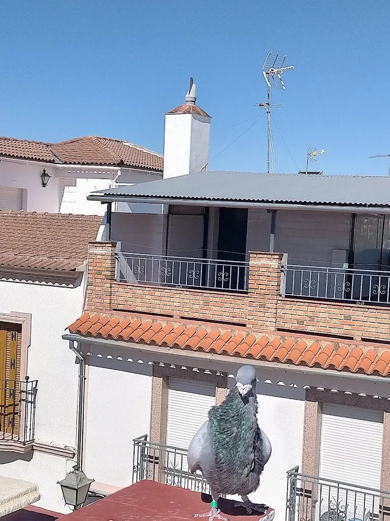 El Chupe_Montilla_slider_image_2