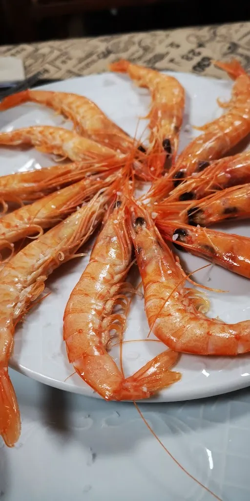 Paco Alarcón_Mesón La Casilla Santaella_Santaella_review