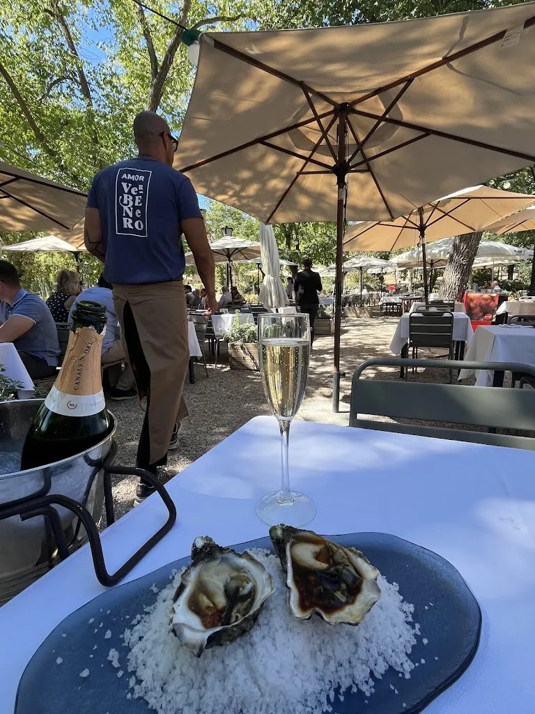 Lina Vasiloudis_Villa Verbena I Restaurante Casa de Campo Madrid_Torrecampo_avis