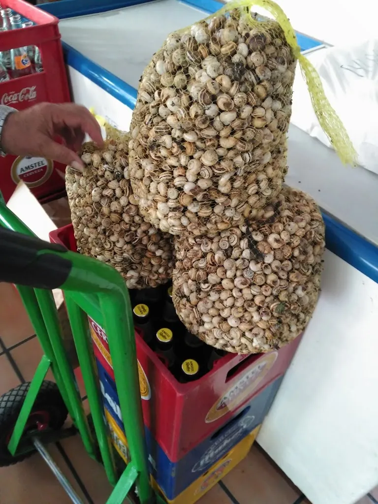 Menu_Bar la Marta_Pozoblanco_image_5