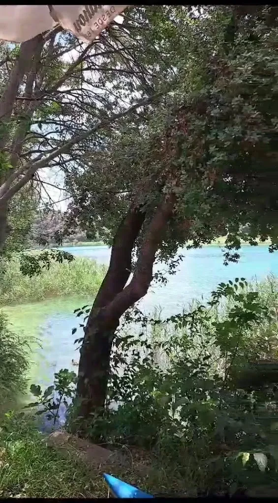 Bar-restaurante La Vega_Ossa de Montiel_slider_image_2