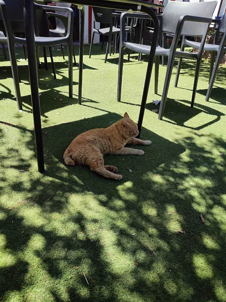 Jose Manuel Perez Araguz_Bar Restaurante El Mohino_Villafranca de Córdoba_review